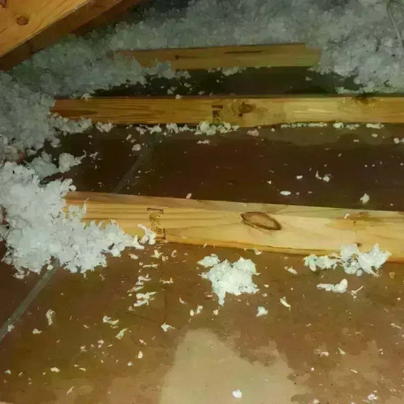 Attic Water Damage in Anderson, IN