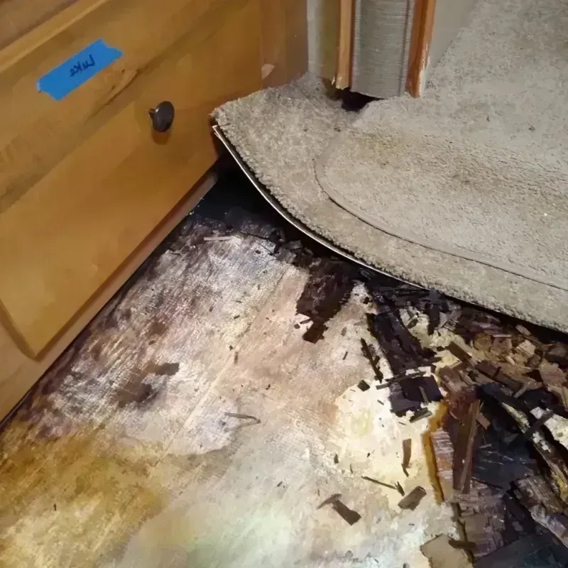 Wood Floor Water Damage in Anderson, IN